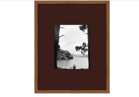 By The Water: A Day in Lake Time Series