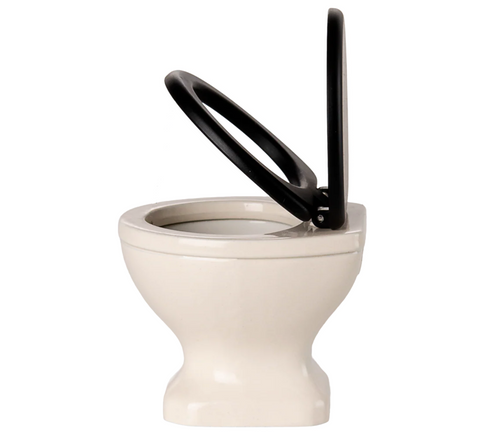 Vintage Toilet