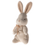 My First Bunny