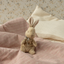 My First Bunny