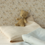 My First Teddy