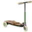 Mouse Kickboard