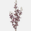 Artificial Onsidium Orchid Stem