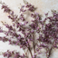 Artificial Onsidium Orchid Stem
