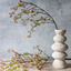 Cherry Blossom Branch