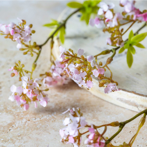 Cherry Blossom Branch