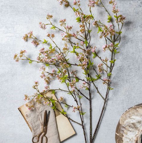 Cherry Blossom Branch