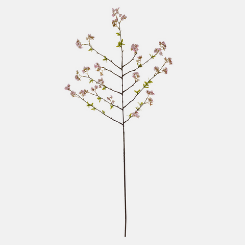 Cherry Blossom Branch