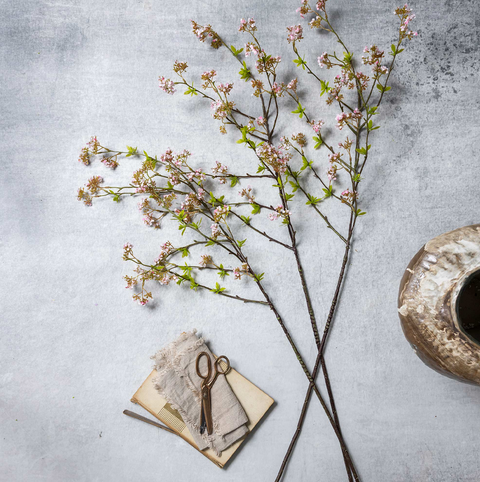 Cherry Blossom Branch