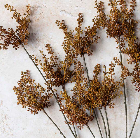 Hedge Parsley Stem