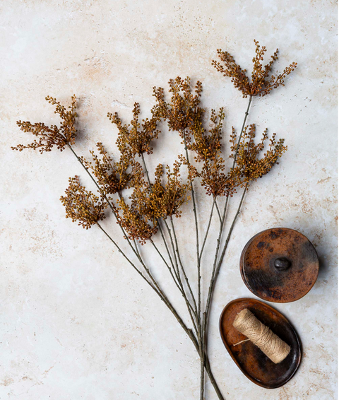 Hedge Parsley Stem