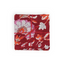 Clivia Burnt Napkins