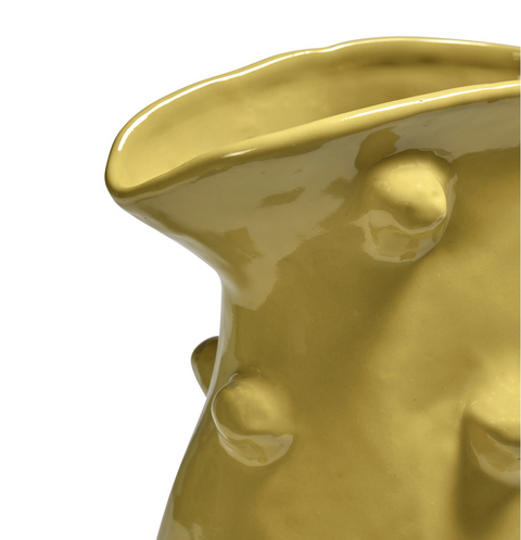Yellow Pitcher
