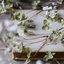 Artificial Hibernal Blossom Soft Sage