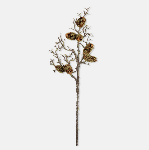 Pinecone Branch