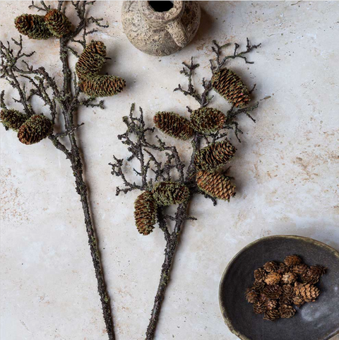 Pinecone Branch