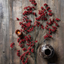 Wild Winter Berry Claret