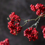 Wild Winter Berry Claret