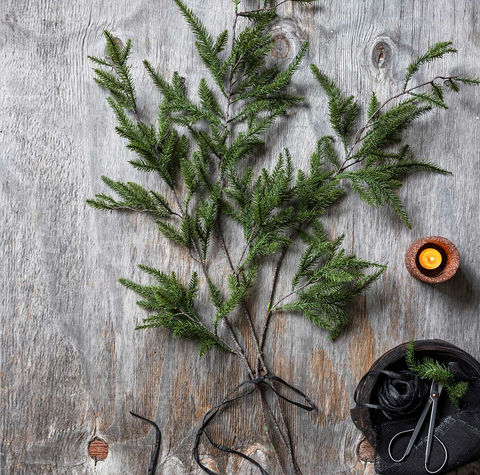 Pine Needle Branch