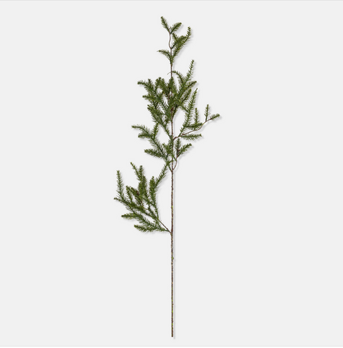 Pine Needle Branch