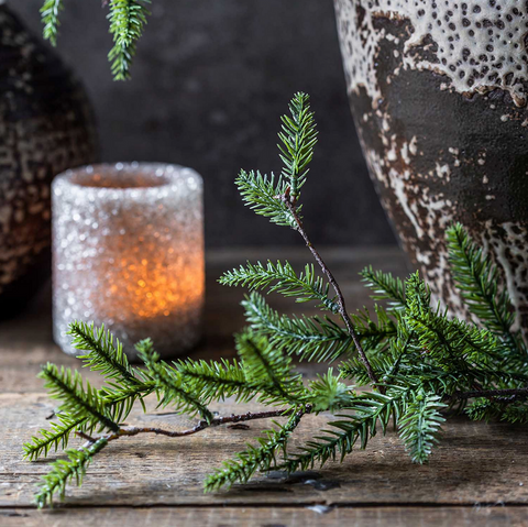 Pine Needle Branch