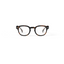 Reading Glasses - #C