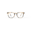 Reading Glasses - #E