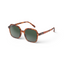 Sun Glasses - Office