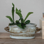 Hand-Painted Stoneware Landscape Planter