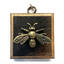 Museum Bees - Bee