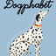 Dogphabet: A whimsical celebration of our favorite canines