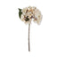 Morning Mist Hydrangea Stem