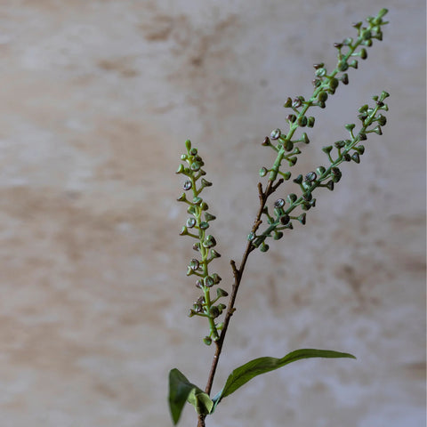 Artificial Myrtle Stem