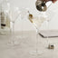 Willsberger Crystal Martini Glasses - Set of 4