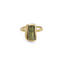 Guardian Ring - Tourmaline