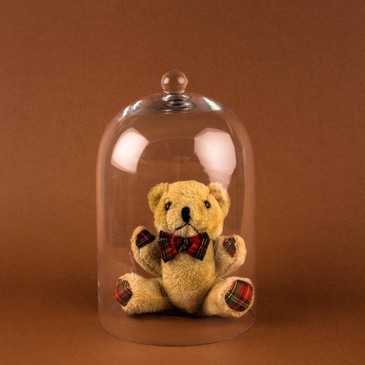 Glass Cloche