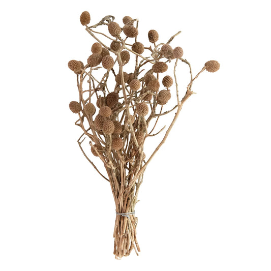 Dried Natural Bora Bunch